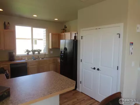 334 Mt Bross Ave, Severance, CO 80550 photo 4