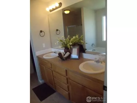 334 Mt Bross Ave, Severance, CO 80550 photo 16