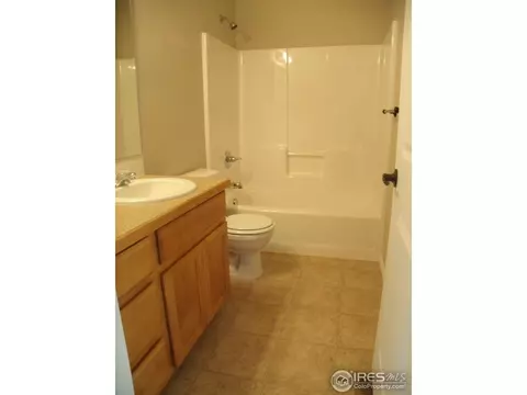 346 Mt Bross Ave, Windsor, CO 80550 photo 15