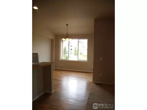 346 Mt Bross Ave, Windsor, CO 80550 photo 4