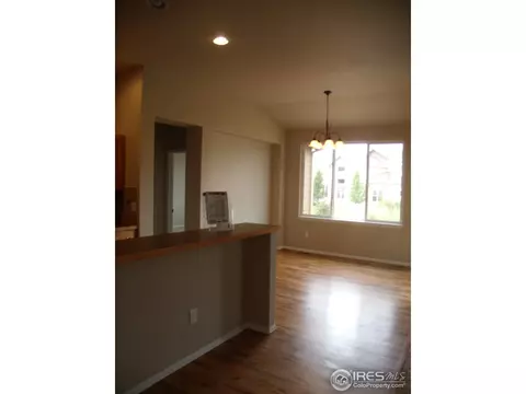 346 Mt Bross Ave, Windsor, CO 80550 photo 5