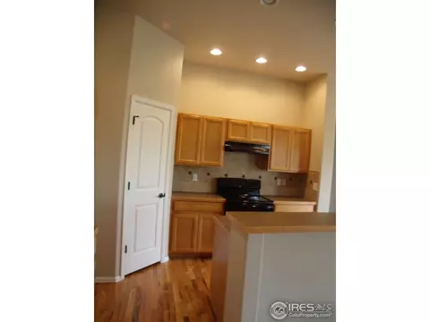 346 Mt Bross Ave, Windsor, CO 80550 photo 9