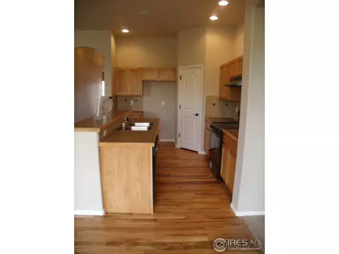 346 Mt Bross Ave, Windsor, CO 80550 photo 6