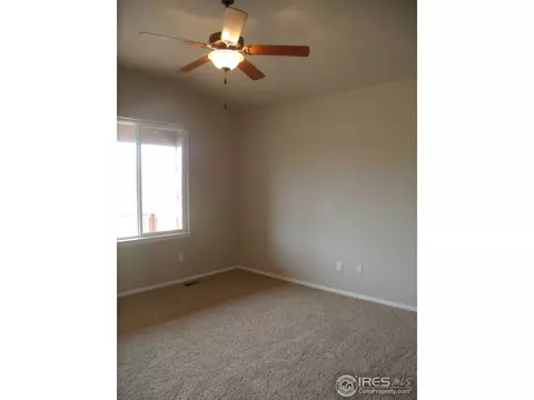 346 Mt Bross Ave, Windsor, CO 80550 photo 2