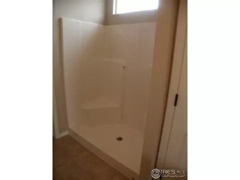 346 Mt Bross Ave, Windsor, CO 80550 photo 12
