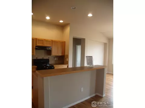 346 Mt Bross Ave, Windsor, CO 80550 photo 7