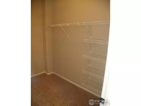 346 Mt Bross Ave, Windsor, CO 80550 photo 13