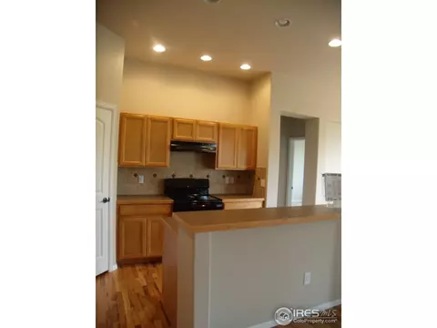 346 Mt Bross Ave, Windsor, CO 80550 photo 8
