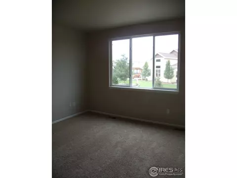 346 Mt Bross Ave, Windsor, CO 80550 photo 10