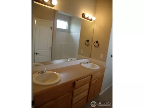 346 Mt Bross Ave, Windsor, CO 80550 photo 11