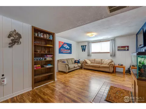 130 Ivy Ct, Windsor, CO 80550 photo 18