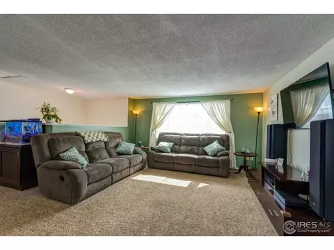 130 Ivy Ct, Windsor, CO 80550 photo 3