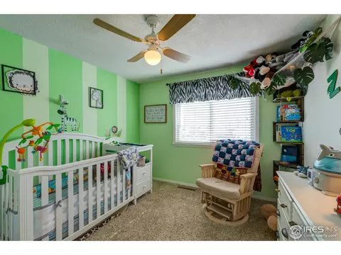 130 Ivy Ct, Windsor, CO 80550 photo 13