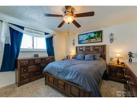 130 Ivy Ct, Windsor, CO 80550 photo 11