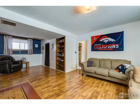130 Ivy Ct, Windsor, CO 80550 photo 17