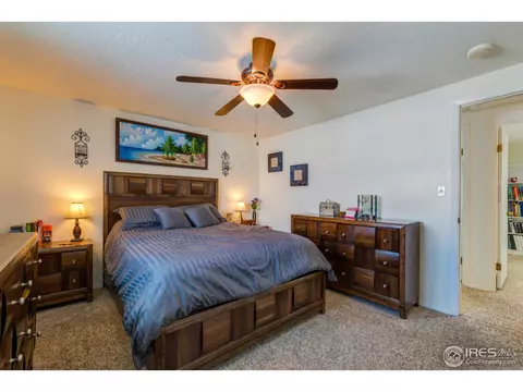 130 Ivy Ct, Windsor, CO 80550 photo 10