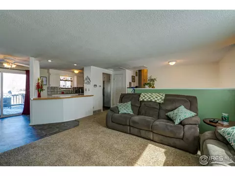 130 Ivy Ct, Windsor, CO 80550 photo 4
