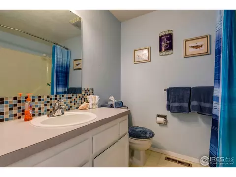 130 Ivy Ct, Windsor, CO 80550 photo 14
