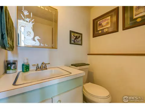 130 Ivy Ct, Windsor, CO 80550 photo 20