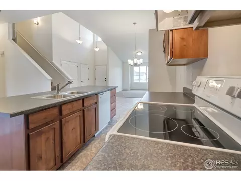 844 Sunlight Peak Dr, Windsor, CO 80550 photo 6