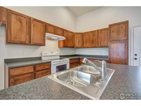 844 Sunlight Peak Dr, Windsor, CO 80550 photo 4