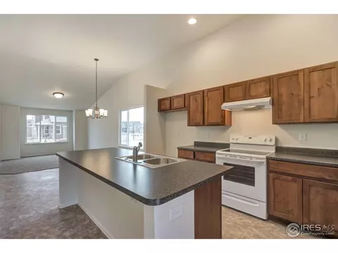 844 Sunlight Peak Dr, Windsor, CO 80550 photo 5
