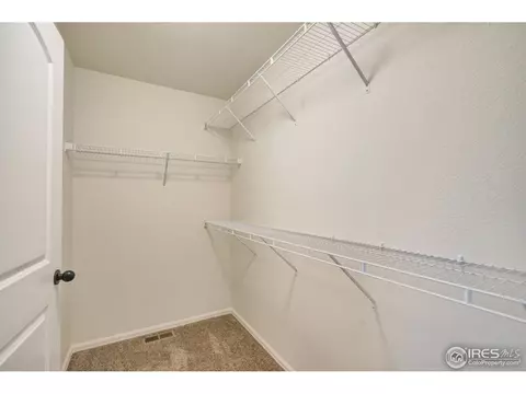 844 Sunlight Peak Dr, Windsor, CO 80550 photo 16