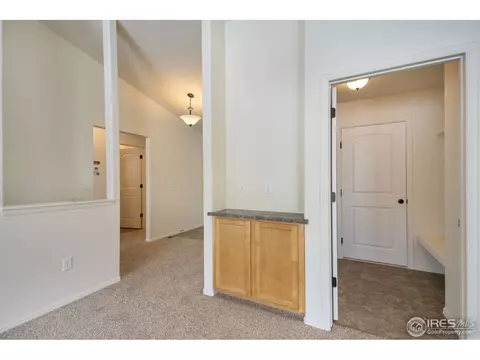 447 Ptarmigan St, Severance, CO 80550 photo 4