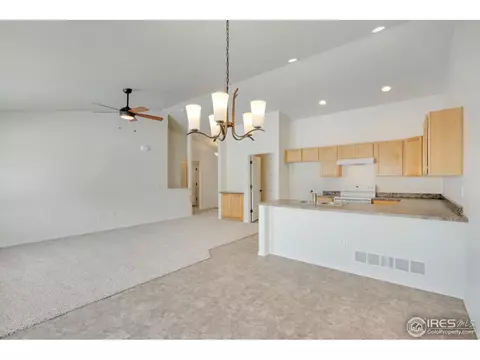 447 Ptarmigan St, Severance, CO 80550 photo 8