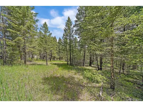 30540 Cobb Rd, Evergreen, CO 80439