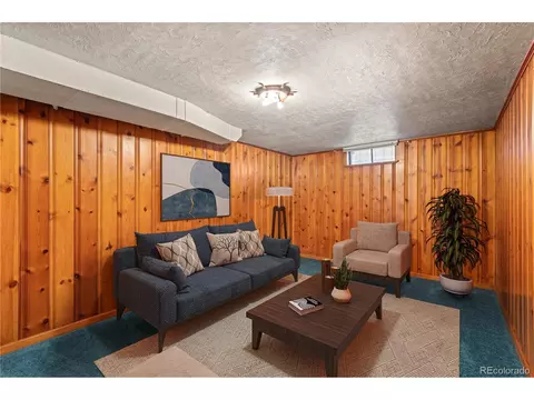 3530 Ivanhoe St, Denver, CO 80207 photo 33