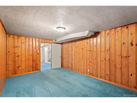 3530 Ivanhoe St, Denver, CO 80207 photo 35
