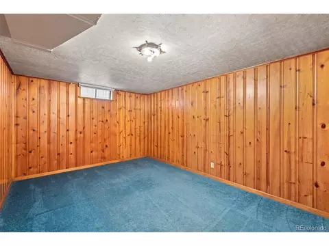 3530 Ivanhoe St, Denver, CO 80207 photo 34