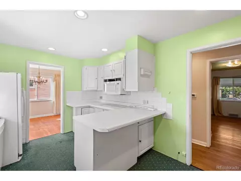 3530 Ivanhoe St, Denver, CO 80207 photo 13
