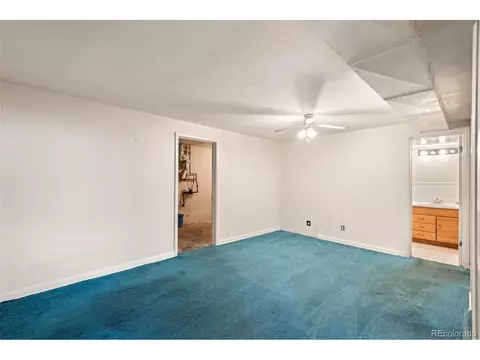 3530 Ivanhoe St, Denver, CO 80207 photo 29