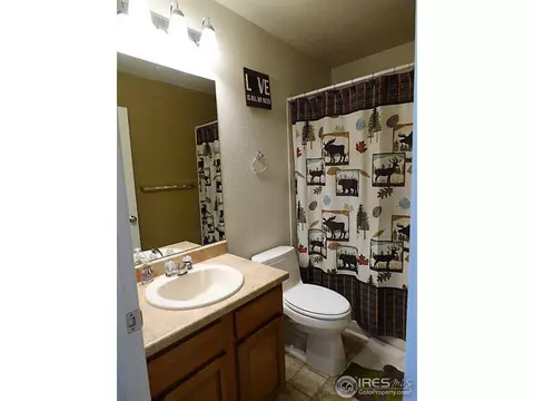 5725 Skyline Ave, Frederick, CO 80504 photo 9