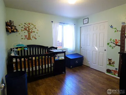 5725 Skyline Ave, Frederick, CO 80504 photo 10