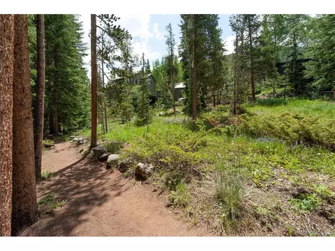 44 Bear Tree Ct, Keystone, CO 80435 photo 40
