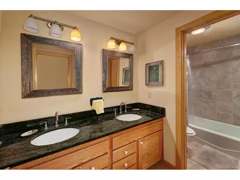 44 Bear Tree Ct, Keystone, CO 80435 photo 26