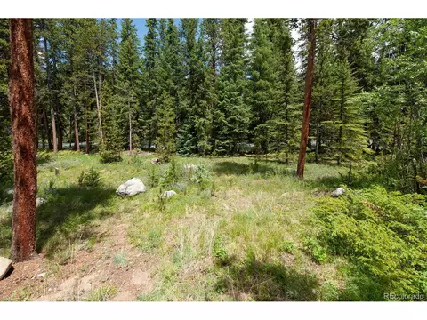 44 Bear Tree Ct, Keystone, CO 80435 photo 39