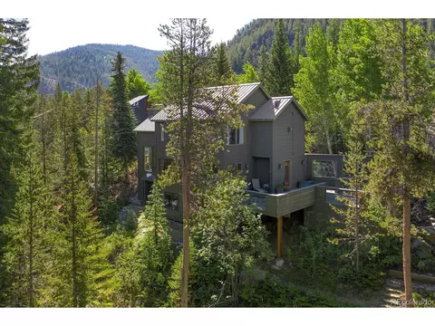 44 Bear Tree Ct, Keystone, CO 80435 photo 30