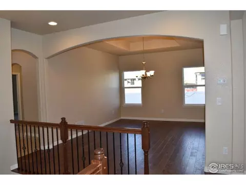 5543 Bexley Dr, Windsor, CO 80550 photo 31