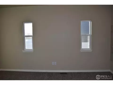 5543 Bexley Dr, Windsor, CO 80550 photo 10