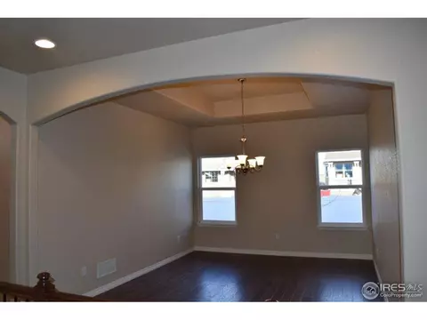 5543 Bexley Dr, Windsor, CO 80550 photo 7