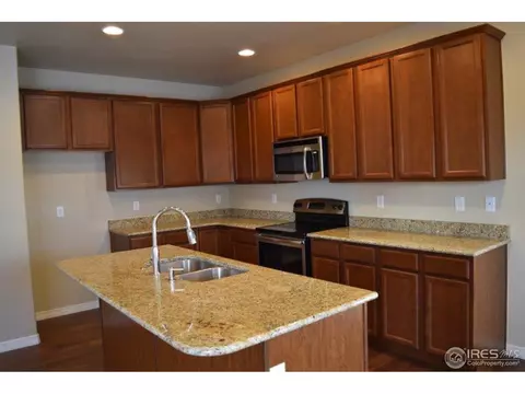 5543 Bexley Dr, Windsor, CO 80550 photo 34