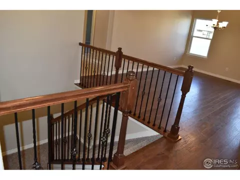 5543 Bexley Dr, Windsor, CO 80550 photo 8