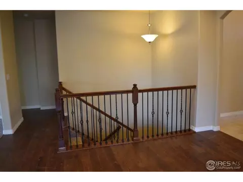 5543 Bexley Dr, Windsor, CO 80550 photo 11