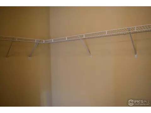5543 Bexley Dr, Windsor, CO 80550 photo 26