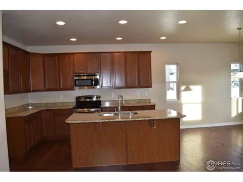 5543 Bexley Dr, Windsor, CO 80550 photo 3