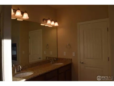 5543 Bexley Dr, Windsor, CO 80550 photo 19